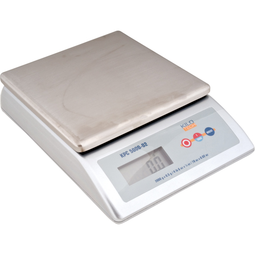Platform Scale, 2000 g Capacity The Estey Group