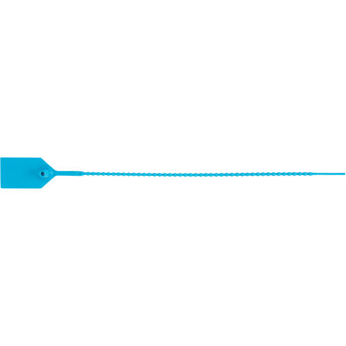 Scell&eacute; de s&eacute;curit&eacute; standard, 12", Plastique, Scell&eacute; en plastique The Estey Group