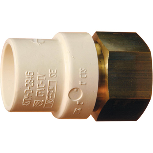 Adaptateur de tuyau filet&eacute;, Noeud x FPT, 1-1/4" dia., Laiton/PVC-C The Estey Group