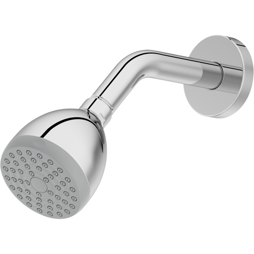 One-Function Showerhead The Estey Group