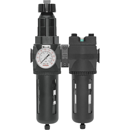 Filtre/d&eacute;tendeur & filtre coalescent Modulair 400 avec bol standard & drain manuel, 3/4" NPTF, 150 psi, Capacit&eacute; de 9,13 oz liq. The Estey Group
