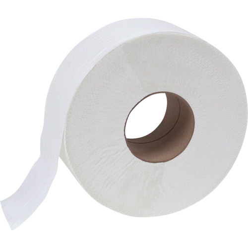 Papier hygi&eacute;nique JRT junior Scott, Rouleau G&eacute;ant, 2 Pli, Longueur 1000', Blanc The Estey Group