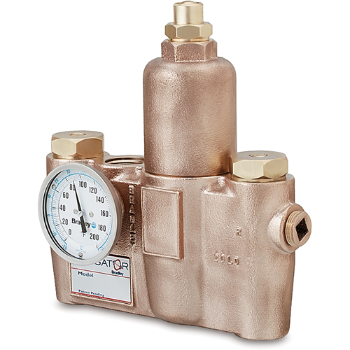 Vannes de m&eacute;lange thermostatiques, 19,5 gal./min The Estey Group