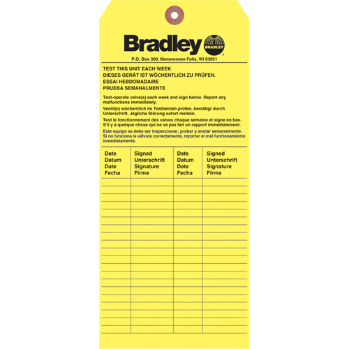 Inspection Tag, Paper, 3-6/8" W x 5-7/8" H, English The Estey Group