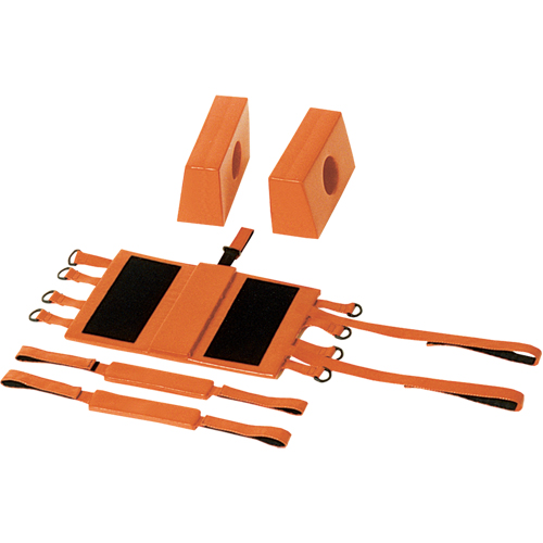 Immobilisateurs pour la t&ecirc;te The Estey Group