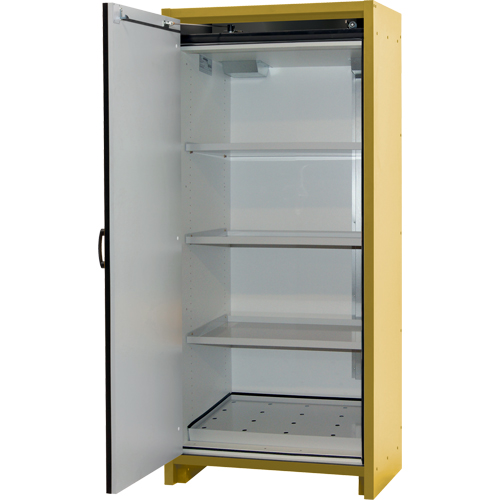 Armoire d'entreposage 30 minutes s&eacute;curitaire et conforme &agrave; la norme EN, 30 gal., 1 Porte(s), 34,02" La x 76,65" h x 24,21" p The Estey Group