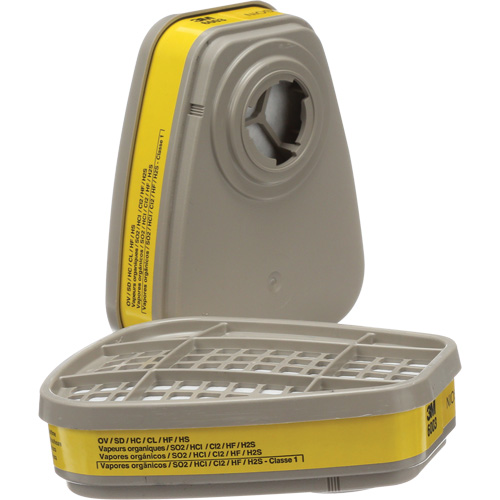 6000 Series Respirator Cartridges, Gas/Vapour Cartridge, Organic Vapour/Acid Gas The Estey Group