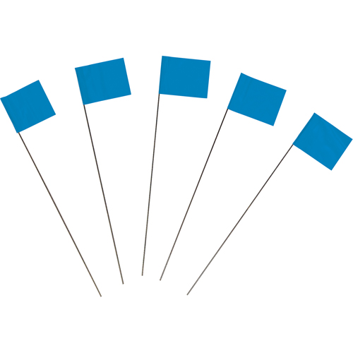 Marking Flags The Estey Group