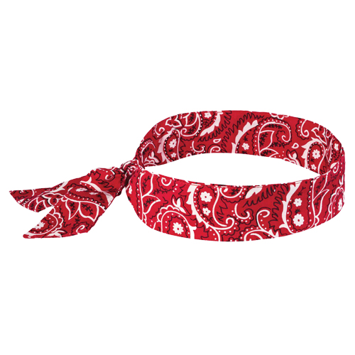 Chill-Its&reg; 6700 Cooling Bandanas, Red The Estey Group