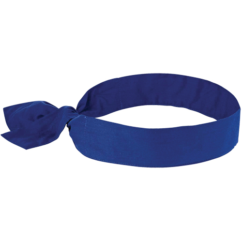 Chill-its&reg; 6700 Cooling Bandanas, Blue The Estey Group