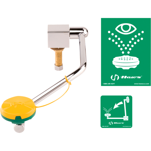 Eye/Face Wash Station, Sink Mount Installation The Estey Group