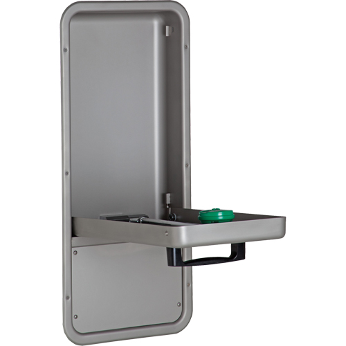 Eye/Face Wash Station, Wall-Mount Installation, Stainless Steel Bowl The Estey Group