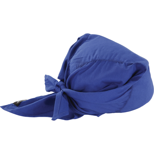Chill-Its&reg; 6710CT Cooling Triangle Hats, Blue The Estey Group