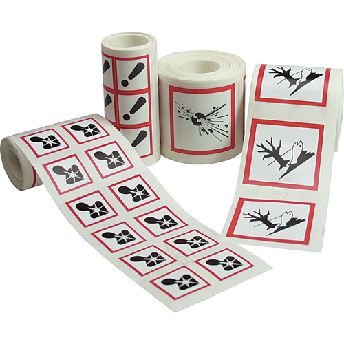 GHS Pictogram Labels, Paper, Roll, 1" L x 1" W The Estey Group