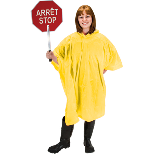 RZ Poncho The Estey Group