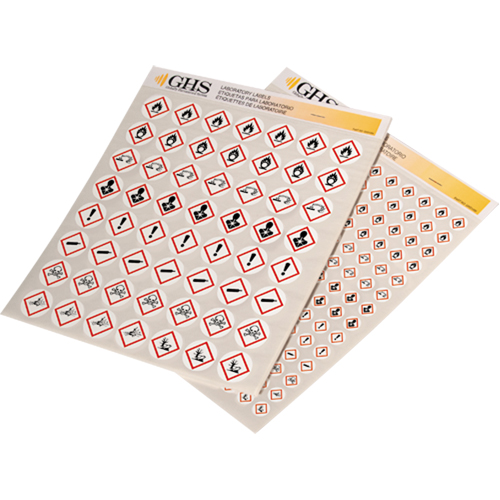 Assortiment d'&eacute;tiquettes avec pictogrammes sgh, Vinyle, Feuille, 1/2" lo x 1/2" la The Estey Group