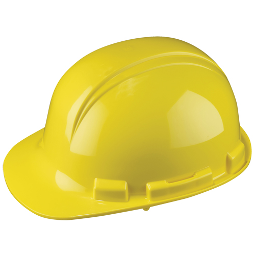 Casque de s&eacute;curit&eacute; Whistler de North, R&eacute;pond aux normes CSA type 1, Suspension &agrave; douille, Non ventil&eacute; The Estey Group