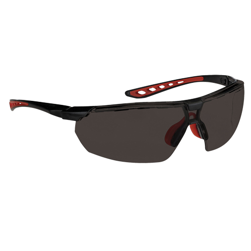 Dynamic Falcon Series Safety Glasses, Smoke Lens, Anti-Fog, ANSI Z87+/Meets/Exceeds CSA Z94.3 The Estey Group