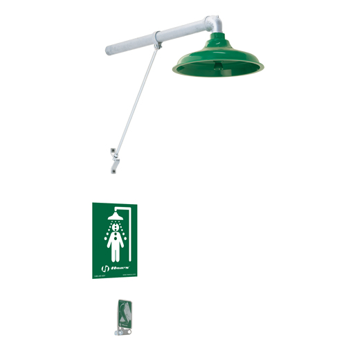 Freeze Protected Drench Shower, Wall-Mount The Estey Group