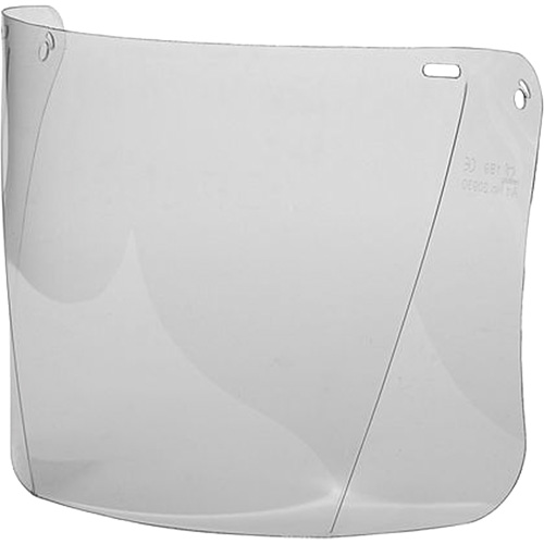 Replacement Visor, Polycarbonate, Clear Tint The Estey Group