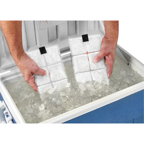 Sachets pour veste de refroidissement &agrave; changement de phase 6260 Chill-Its The Estey Group