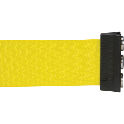 Wall Mount Barrier with Magnetic Tape, Steel, Screw Mount, 12', Yellow Tape The Estey Group