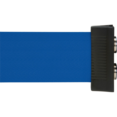 Barri&egrave;re &agrave; fixation murale avec ruban magn&eacute;tique, Acier, Fixation par vis, 7', Ruban Bleu The Estey Group