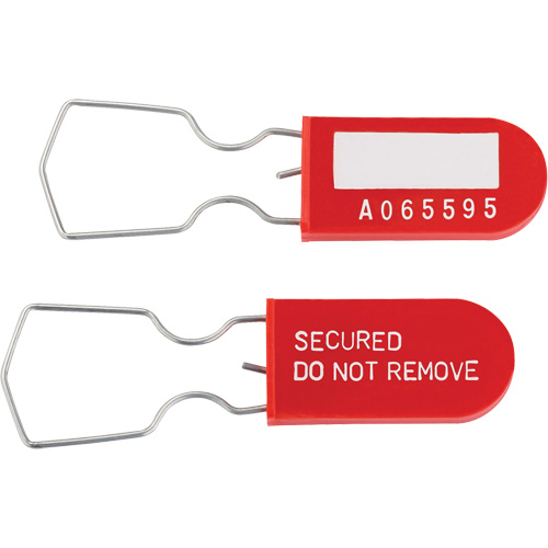 Dynamic Safety Equipment Inspection Tags, Plastic, 1" W x 2-1/4" H, English The Estey Group