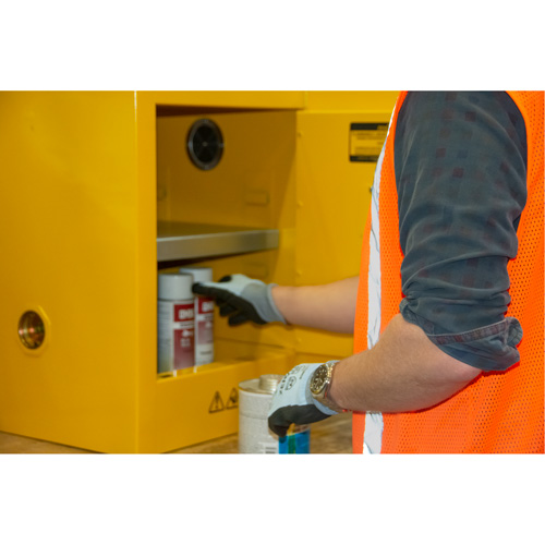 Flammable Storage Cabinet, 4 gal., 1 Door, 17" W x 22" H x 18" D The Estey Group
