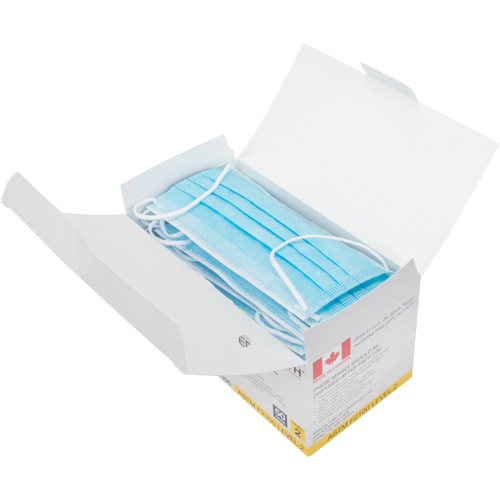 Disposable Procedure Face Masks, ASTM F2100 Level 2, Class 1 The Estey Group