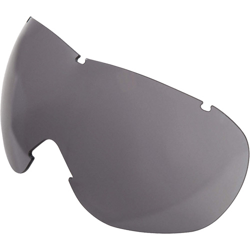 Lentille de rechange pour les lunettes de s&eacute;curit&eacute; &agrave; coques Uvex Sub-Zero, Antibu&eacute;e/anti-&eacute;gratignures, Gris, Uvex Sub-Zero The Estey Group