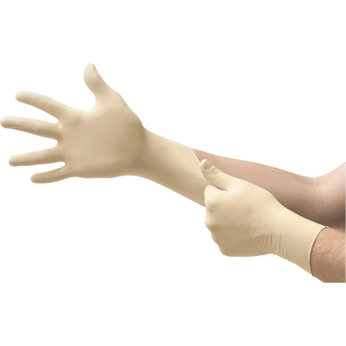 Gants d'examen MICROFLEX Ultra One, 10/9,5/T-Grand, Latex, 9,8 mils, Sans poudre, Naturel, Classe 2 The Estey Group