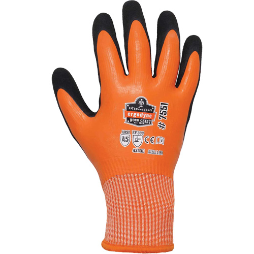 Gants de travail enduits et r&eacute;sistant &agrave; la coupe pour l'hiver ProFlex 7551, Taille Petit, Calibre 10/13, Rev&ecirc;tement Nitrile/Latex de caoutchouc, Enveloppe en PEHP, ASTM ANSI niveau A5/EN 388 niveau E The Estey Group