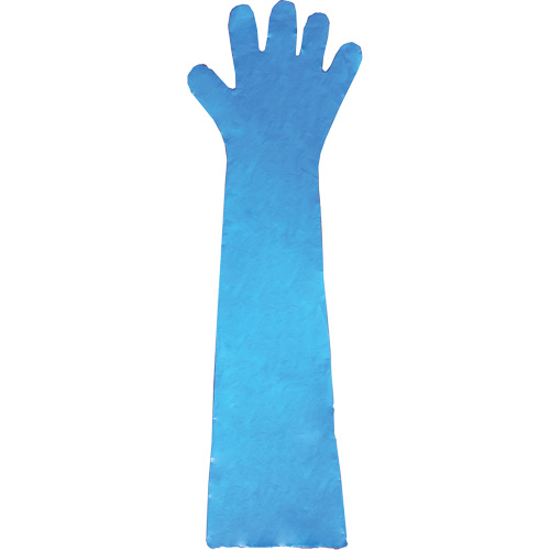 Disposable Gloves, Polyethylene, Powder-Free, Blue The Estey Group