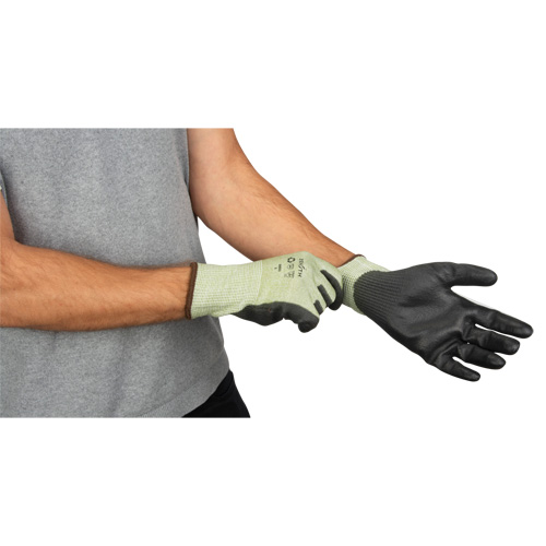 Gants &eacute;lastiques &eacute;cologiques sans coutures r&eacute;sistants &agrave; la coupe, Taille 7, Calibre 13, Rev&ecirc;tement Polyur&eacute;thane, Enveloppe en PEHP/rPET, ASTM ANSI niveau A4 The Estey Group