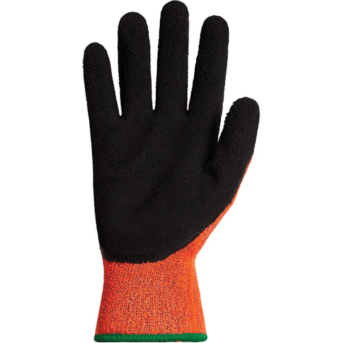 Gants d'hiver r&eacute;sistants &agrave; la coupe Dexterity TKTAGLX, Taille 2T-Grand, Calibre 13, Rev&ecirc;tement Latex, Enveloppe en TenActiv, ASTM ANSI niveau A3 The Estey Group