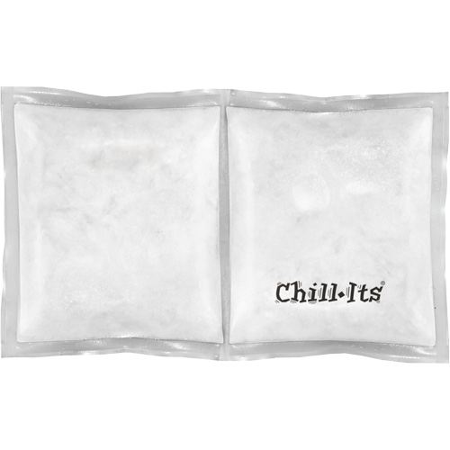 Chill-Its 6283 Rechargeable Phase Change Pack The Estey Group