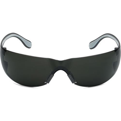 Adapt Lite Safety Glasses, Smoke Lens, Anti-Fog/Anti-Scratch, ANSI Z87+/Meets/Exceeds CSA Z94.3 The Estey Group