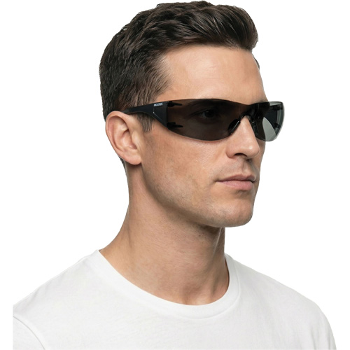 Adapt Lite Safety Glasses, Smoke Lens, Anti-Fog/Anti-Scratch, ANSI Z87+/Meets/Exceeds CSA Z94.3 The Estey Group