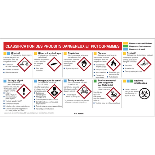 Mini MSDS Chart- French The Estey Group