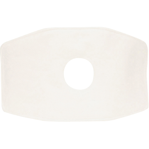 North&reg; Replacement Filter, Particulate Filter, N99 Filter The Estey Group
