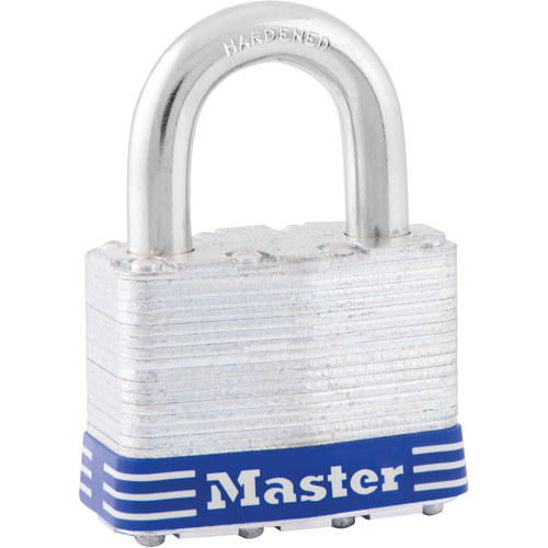 Cadenas commercial, Cl&eacute;s diff&eacute;rentes, Acier lamin&eacute;, Largeur de 2" The Estey Group