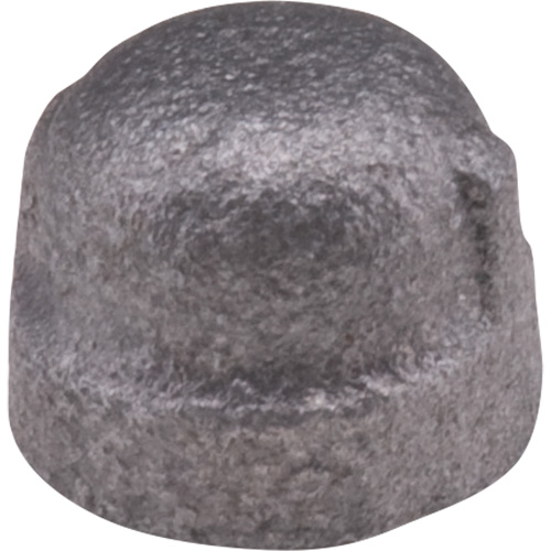 Cap, 1/8", Malleable Iron The Estey Group