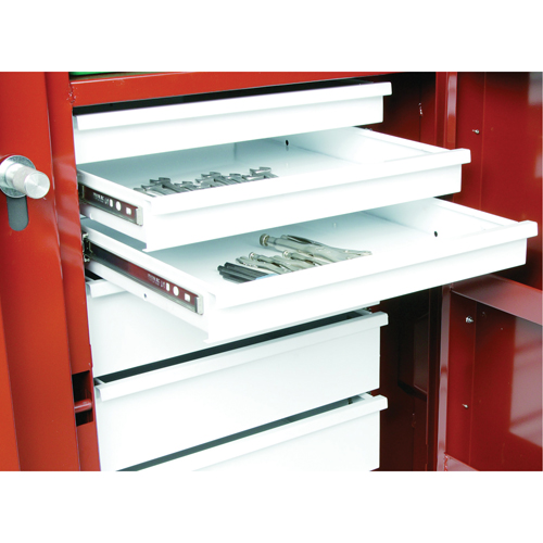 &eacute;tabli roulant, 49-7/8" la x 40-5/8" h x 26-7/8" p, Capacit&eacute; de 24,6 pi³ The Estey Group