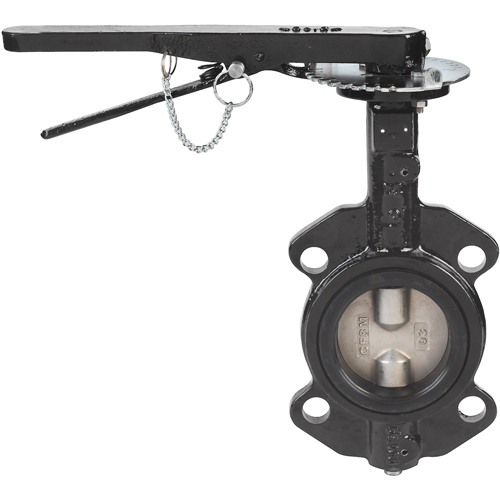 Butterfly Valves - Series BFV, 2" Pipe, 225 PSI The Estey Group