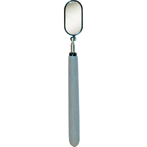 Miroir d'inspection, Ovale, 1-1/2" lo x 1-1/4" la, T&eacute;lescopique The Estey Group