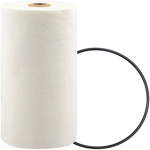 P7247 Spin-On Coolant Filter with BTE Formula The Estey Group