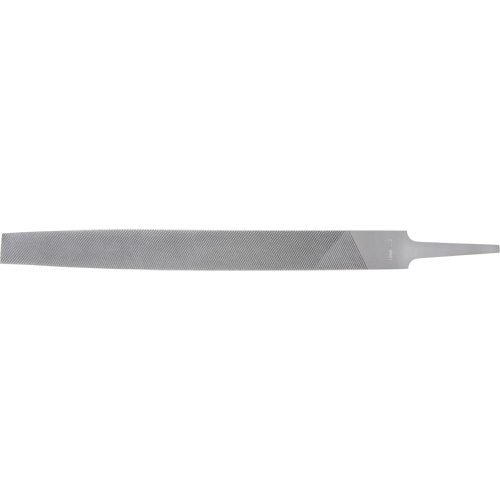 Lime, Demi-ronde, 8" l, Coupe B&acirc;tarde The Estey Group