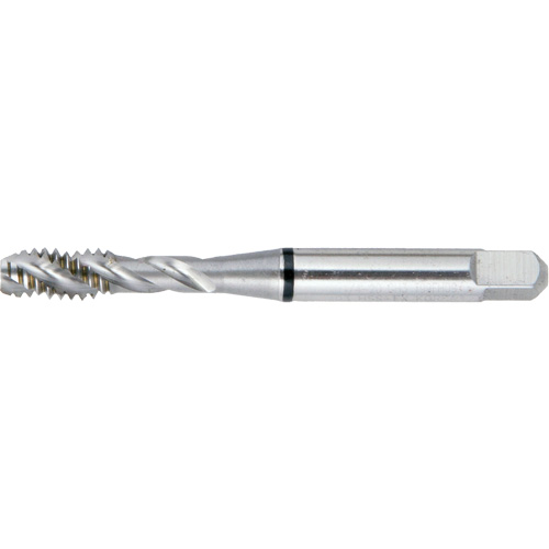 Taraud BT super haute performance &agrave; cannelure spiral&eacute;e DRILLCO, Acier rapide, Filet de 10-24, 2-3/8" l The Estey Group