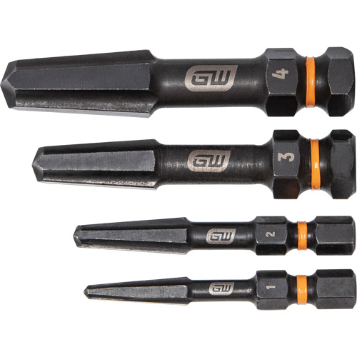 Jeu d'extracteur de vis Bolt Biter, Acier rapide, 4 Morceaux The Estey Group